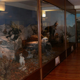 Museo del Po di Revello